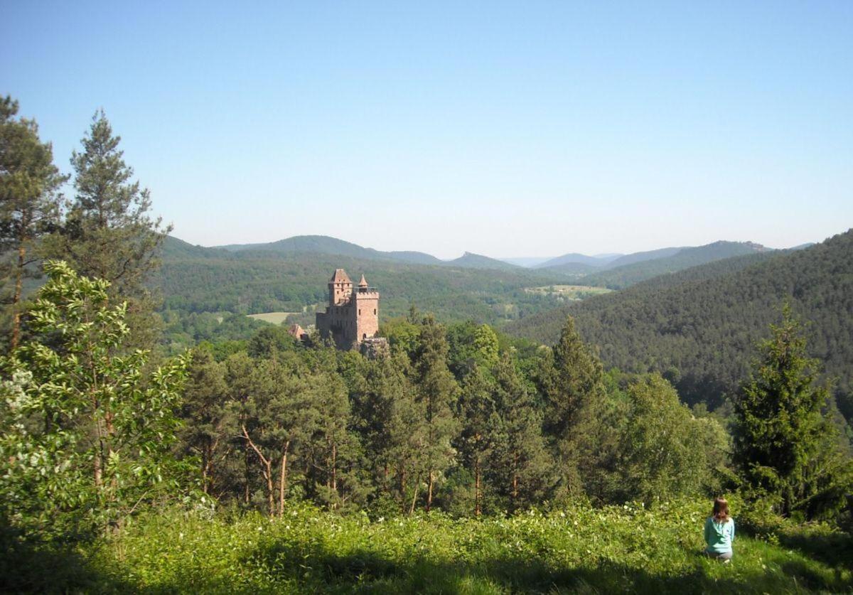 Ferienwohnung "Monte Noble" Suedpfalz Erlenbach  Екстер'єр фото