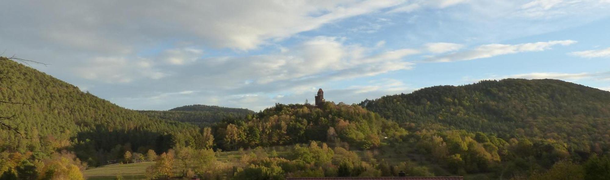 Ferienwohnung "Monte Noble" Suedpfalz Erlenbach  Екстер'єр фото